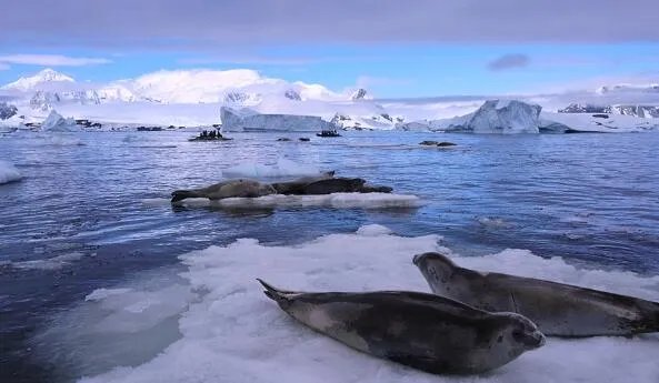 世界地球日是几月几日 世界地球日是每年的哪一天