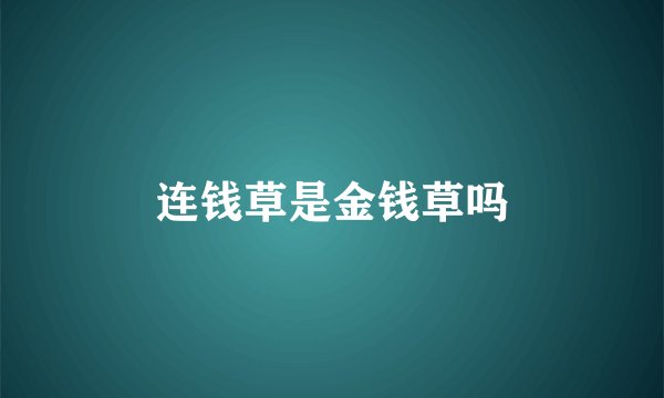 连钱草是金钱草吗