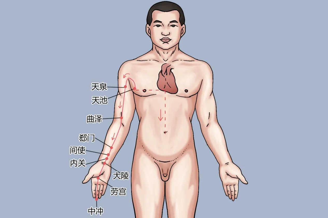手掌上的经络图解