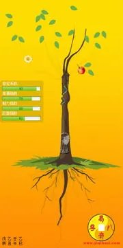 婚姻树易奇八字,婚姻树