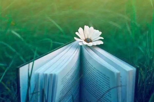 你来自哪里用英语怎么说？