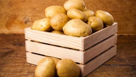 碳水化合物食物有哪些