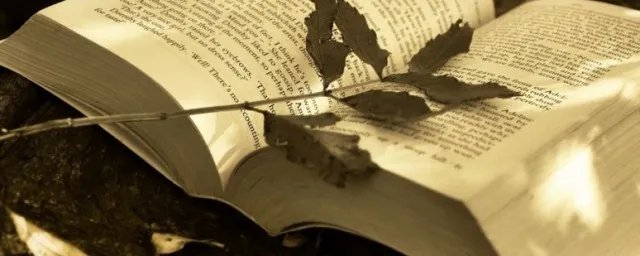 动员是什么意思