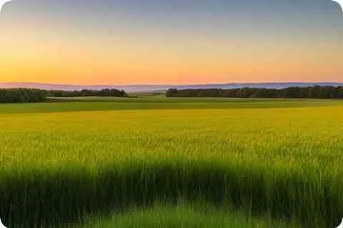 清朝后期的戊戌变法具体是在哪一年