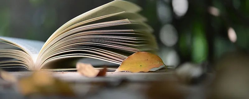 一片孤城万仞山的上一句 一片孤城万仞山的上一句是什么