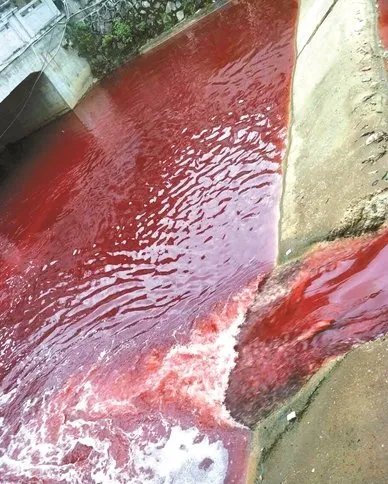 江西出现的红色河水是什么原因造成的？