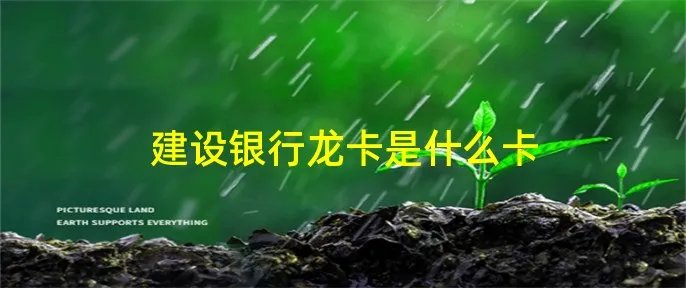 建设银行龙卡是什么卡