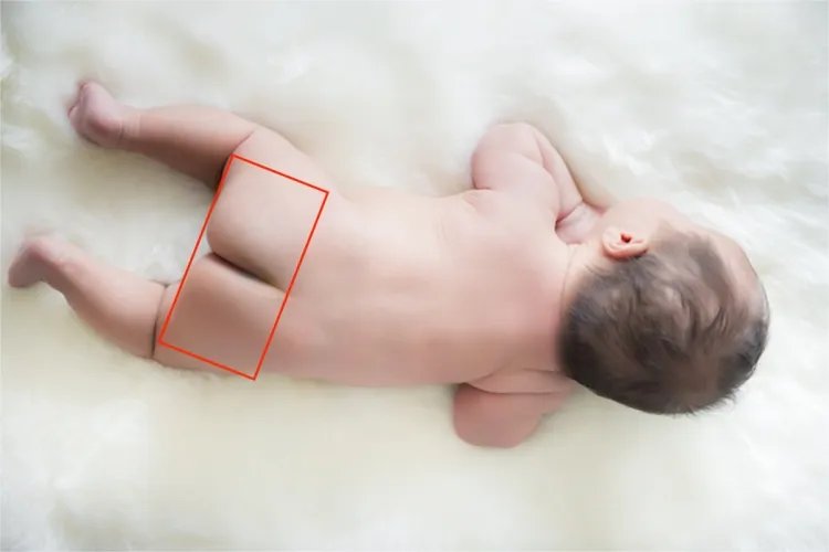 腰部臀部图片位置示意图