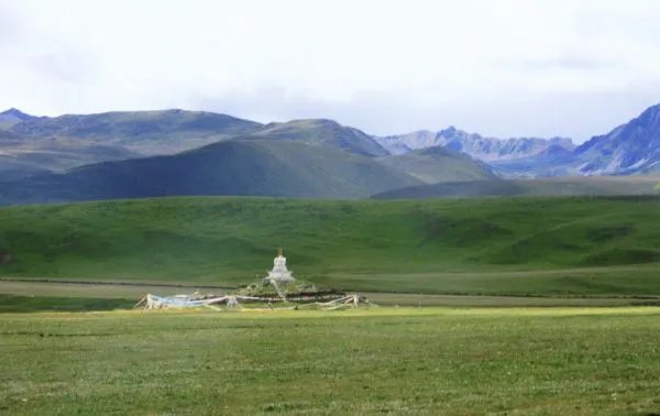 海霞说丁真背后的美值得更多流量，丁真背后究竟藏着怎样的秘密？