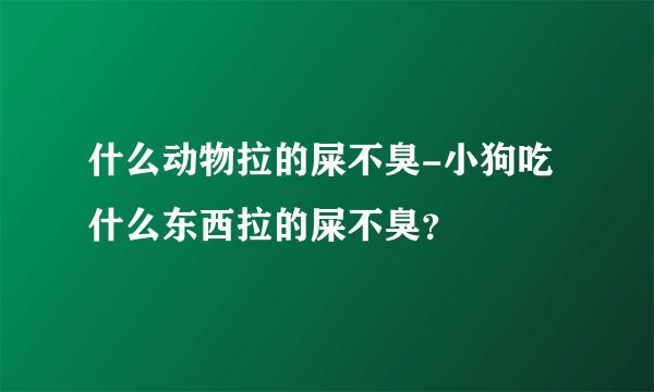 什么动物拉的屎不臭-小狗吃什么东西拉的屎不臭？
