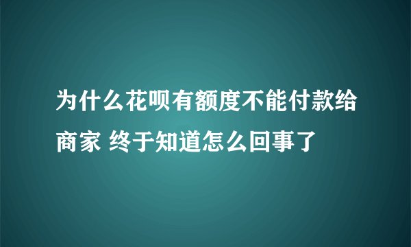 为什么花呗有额度不能付款给商家 终于知道怎么回事了