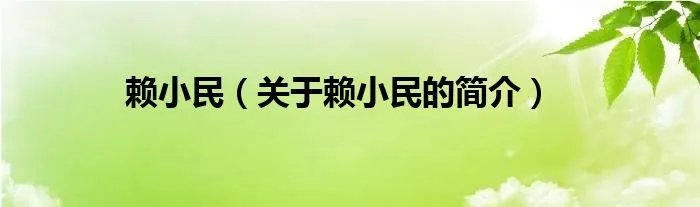 赖小民（关于赖小民的简介）