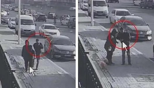 碰瓷遛狗人是什么情况：想要仗着“狗”来发财心真大