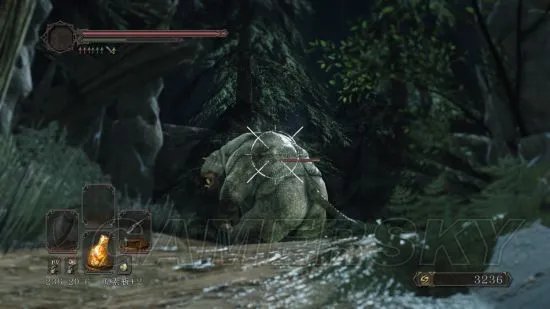 《黑暗之魂2原罪学者》图文攻略 全收集流程图文攻略