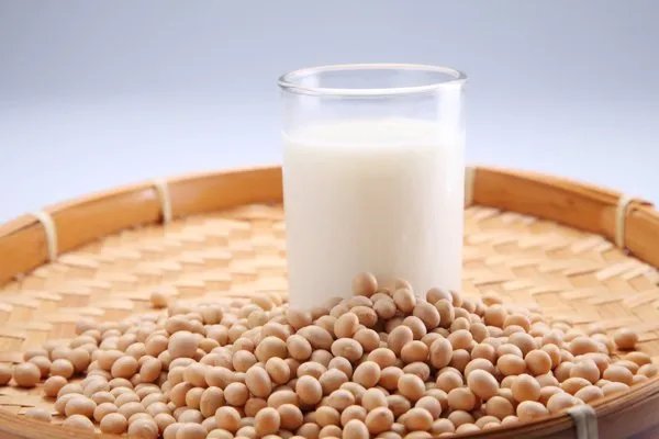 毛豆和黄豆是同一种东西吗