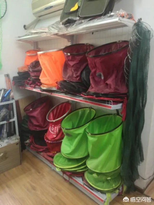 开个渔具店怎么样？