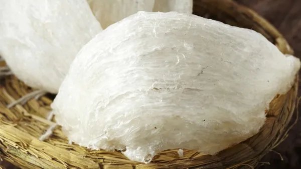 燕窝的功效与作用及营养 燕窝什么季节吃效果最好?