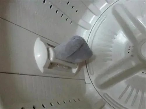 洗衣机过滤网怎么安装