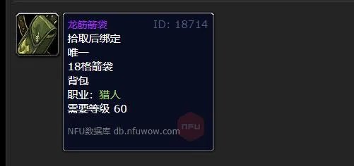 魔兽世界龙筋箭袋属性介绍