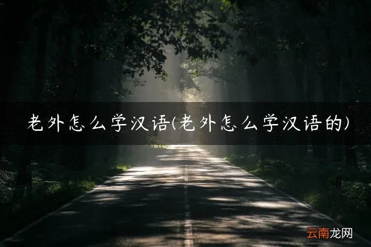 老外怎么学汉语的 老外怎么学汉语