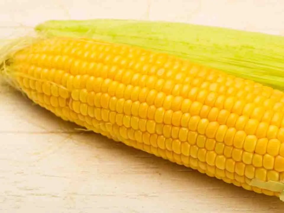 缺铁性贫血吃什么好