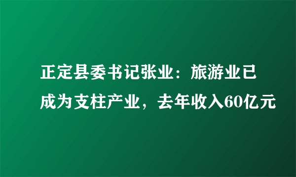正定县委书记张业：旅游业已成为支柱产业，去年收入60亿元