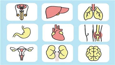 高丽参的功效与作用