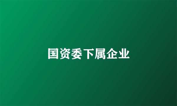 国资委下属企业