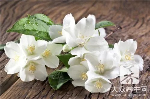 栀子花对身体有害吗