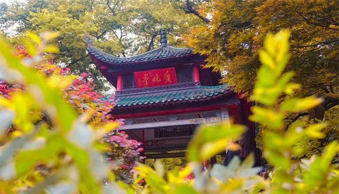 湘是哪个省的简称 湘是什么地方的简称