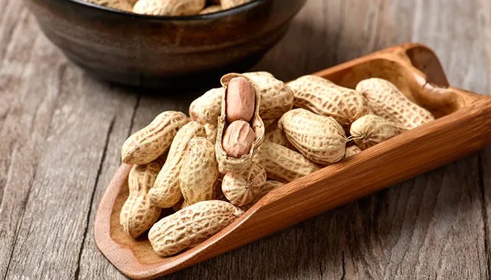 生花生的功效与作用 生花生的功效与作用有哪些
