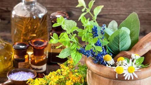 逍遥丸的功效与作用