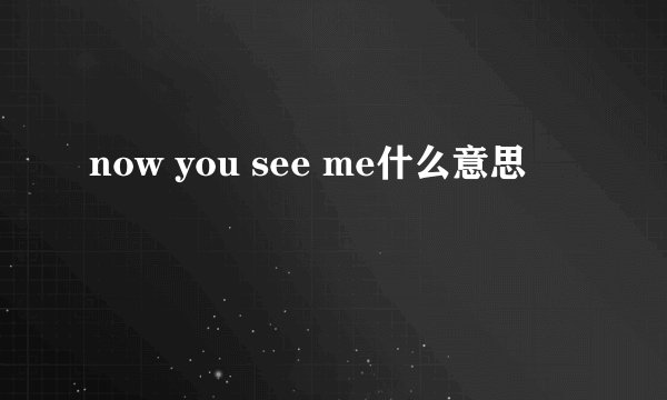 now you see me什么意思