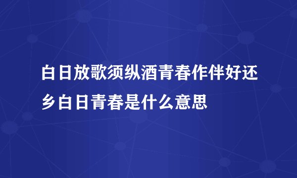 白日放歌须纵酒青春作伴好还乡白日青春是什么意思