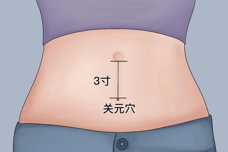 关元的准确位置图和按摩手法