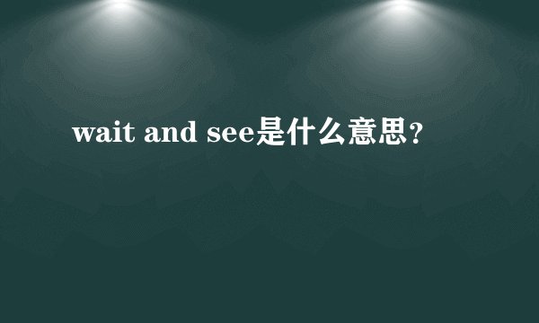 wait and see是什么意思？