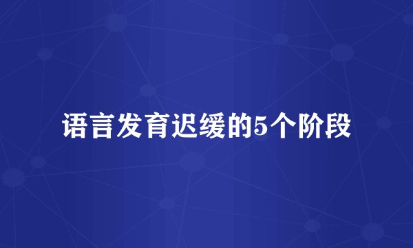 语言发育迟缓的5个阶段
