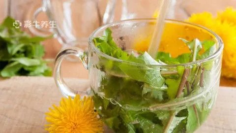 浦公英泡水有什么好处