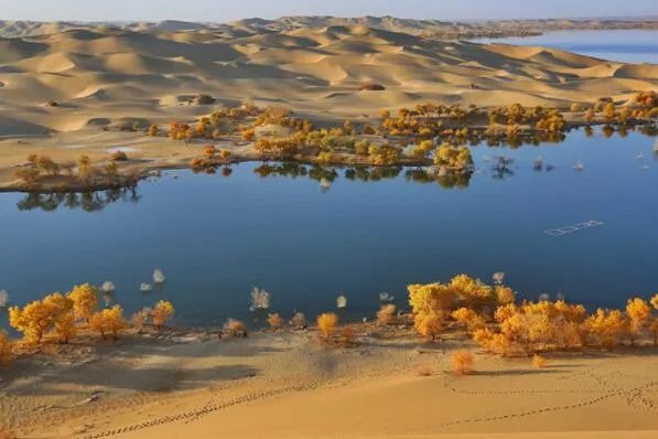 世界最长的十条内流河，沙里河上榜，第一是俄罗斯的母亲河