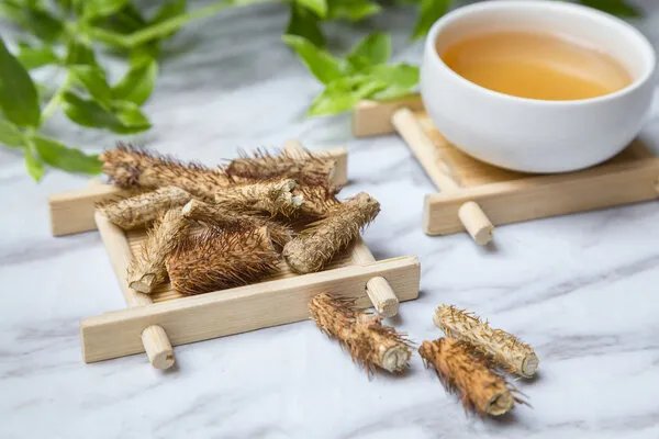 苍耳子能治疗类风湿性关节炎吗