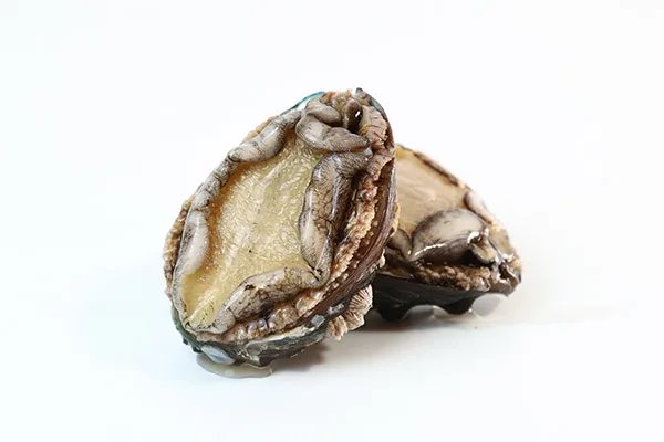 鲍鱼的功效及禁忌