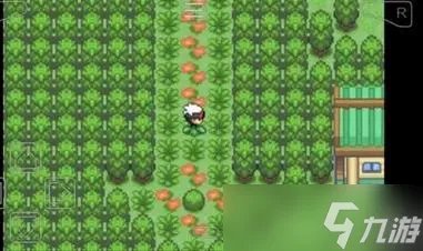 口袋妖怪究极绿宝石小智版甲贺忍蛙怎么获得-甲贺忍蛙获取攻略