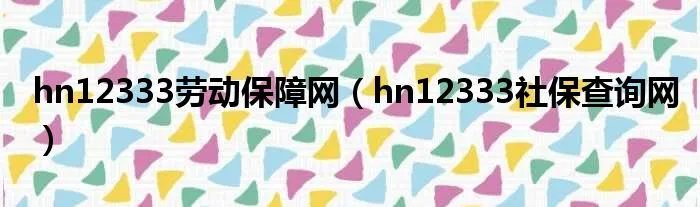 hn12333劳动保障网（hn12333社保查询网）
