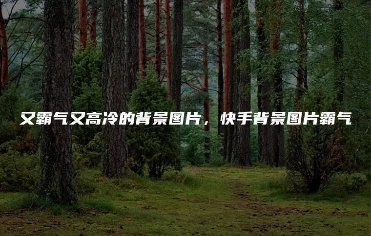 又霸气又高冷的背景图片，快手背景图片霸气