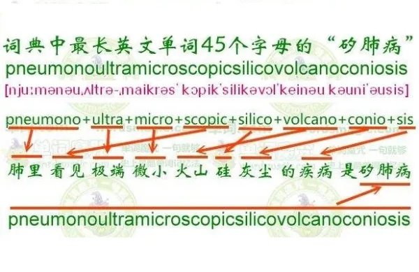 世界上最长的英语单词