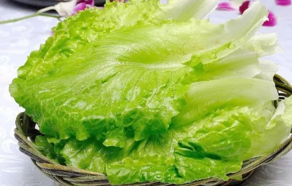 生菜的英语单词是什么？