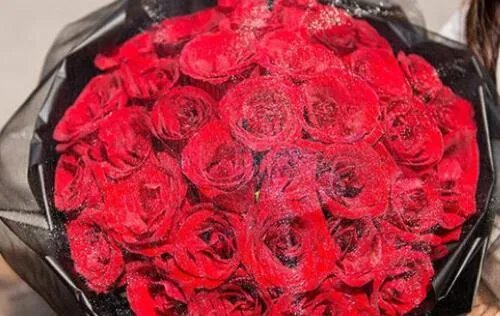 33朵玫瑰花代表什么意思 送玫瑰花几朵分别代表什么意思