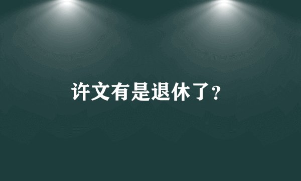 许文有是退休了？