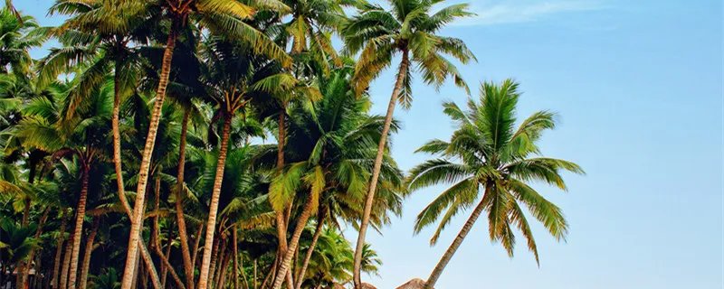 海地在哪里 海地在哪里地理位置