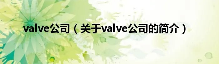 valve公司（关于valve公司的简介）